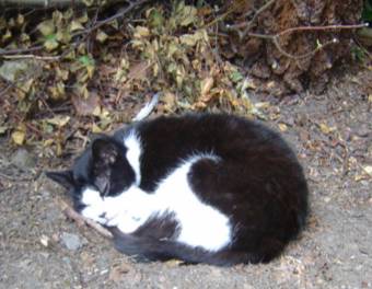 LUCKY-mail your enquiry